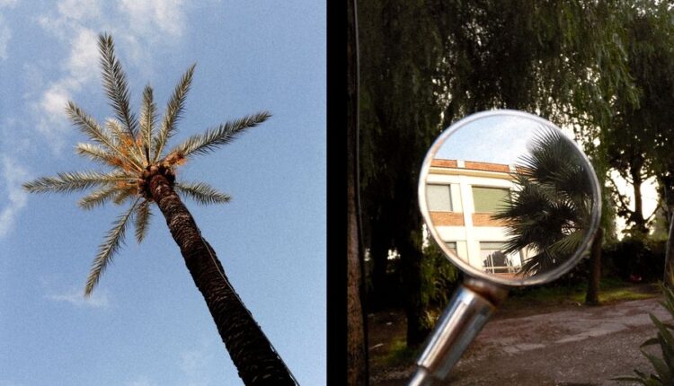 fujifilm X half_06_result