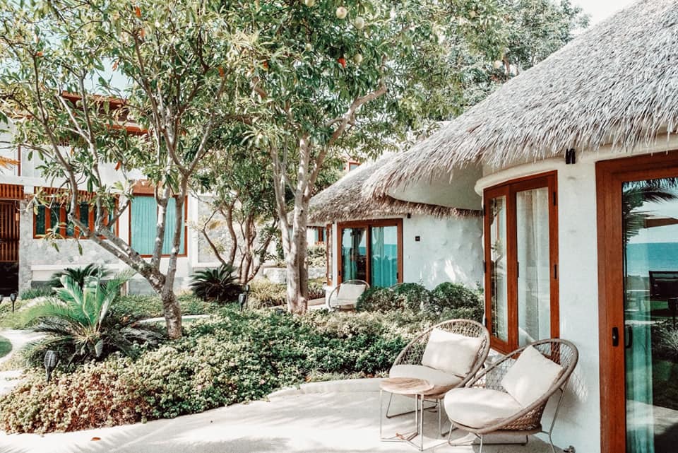 72109606_1131425527057920_4593481065103884288_n