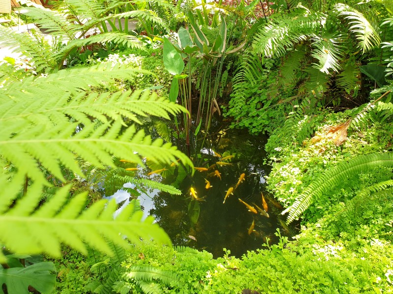 20200702_124617 (Custom)