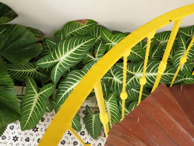 20200702_131440 (Custom)