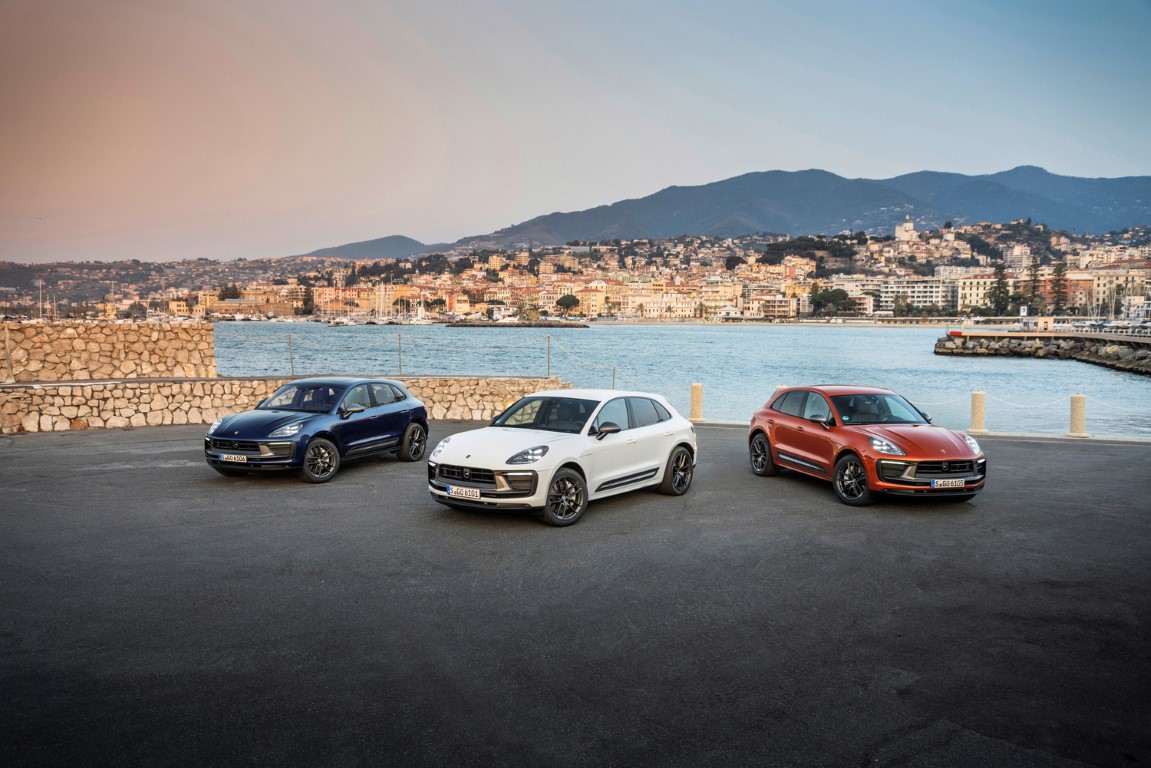 S22_2624_fine (Medium)