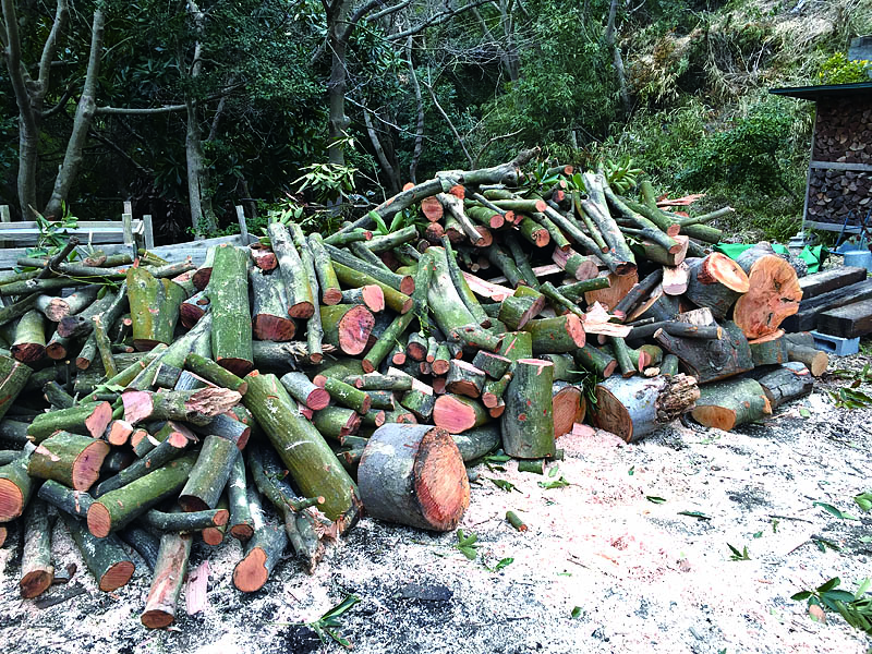 ทุกๆ ฤดูหนาวที่จอดรถจะกลายเป็นพื้นที่เก็บท่อนไม้สำหรับเตาไม้ฟืน ตั้งใจว่าจะวางฐานแต่ก็ยังเริ่มทำไม่ได้สักที ซึ่งผ่านมาหลายปีแล้ว ช่วงนี้สวนผักที่เพาะปลูกมีขนาดใหญ่ขึ้น จึงมีเหตุผลว่ายุ่งมากขนาดไม่มีเวลาทำเรื่องโรงจอดรถ