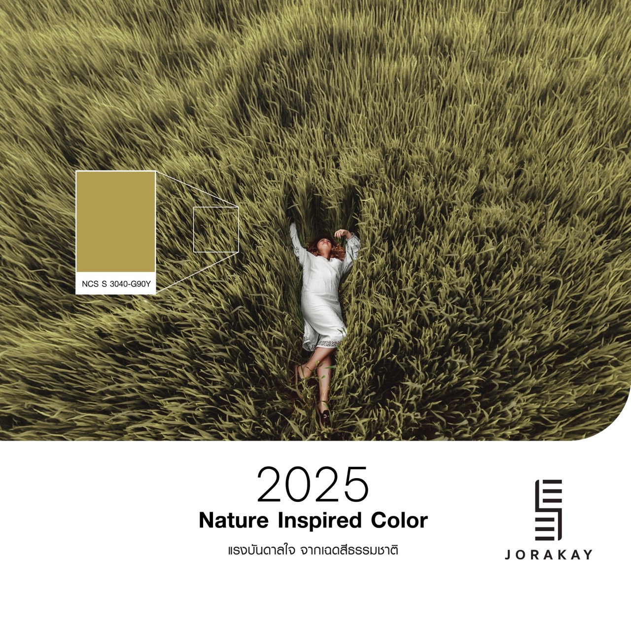SEE JORAKAY National Color Day