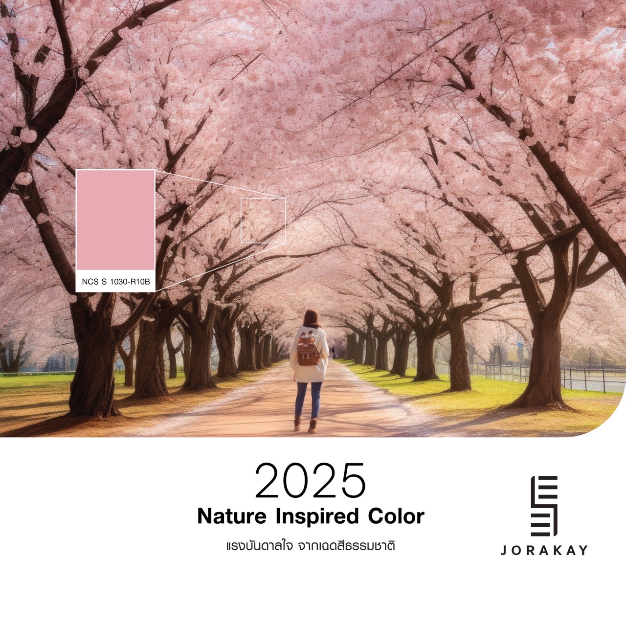 SEE JORAKAY National Color Day_02