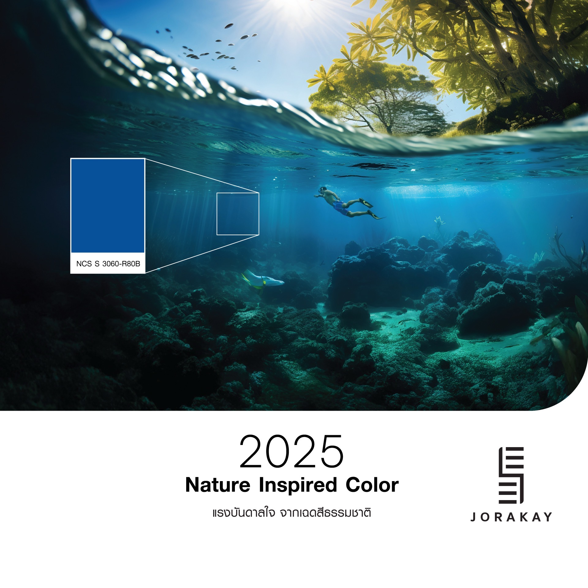 SEE JORAKAY National Color Day_02