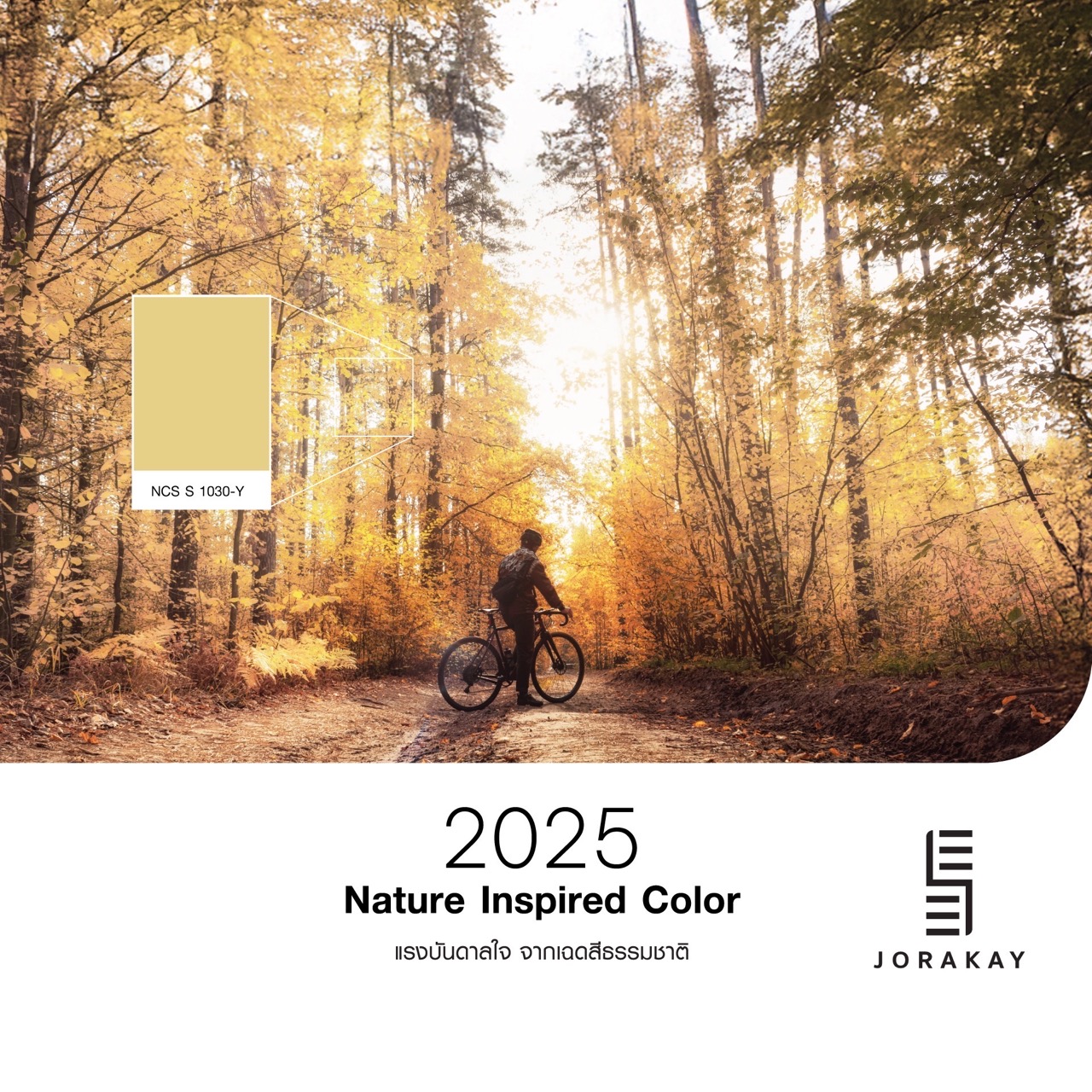 SEE JORAKAY National Color Day_03