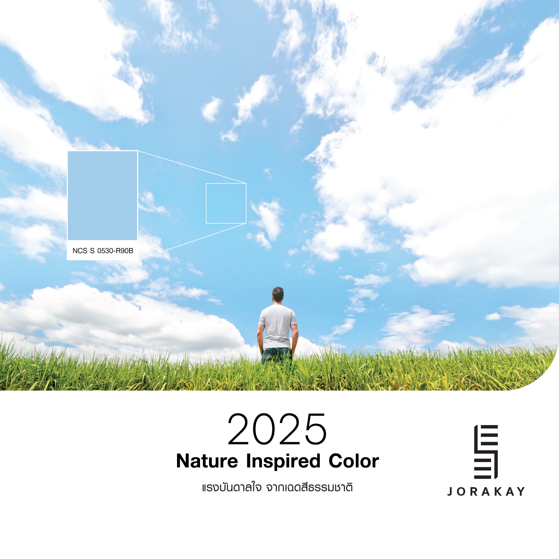 SEE JORAKAY National Color Day_03