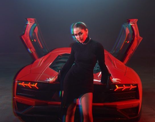 Lamborghini Street Masterpiece (9)