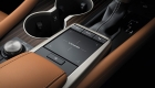 Lexus RX-TH-2021 (19)
