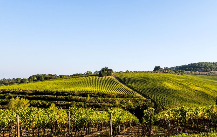 Maserati GranCabrio Folgore Tignanello_Tignanello Vineyards_result